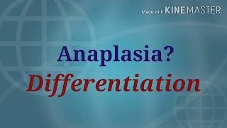 What is Anaplasia|Lack of differentiation|Medschool Microvlog 5