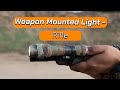 Weapon Mounted Light for Rifle: WHY YOU NEED ONE