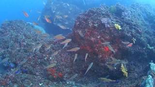 Diving point of Kanagawa, Japan Chigasaki Southern beach off the coast Eboshiiwa 2016.11.22