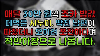 매달 30만 원씩 조카 밥값 떼먹은 시누이. 빡친 남편이 따졌더니 오히려 쪼잔하다며 적반하장으로 나옵니다.