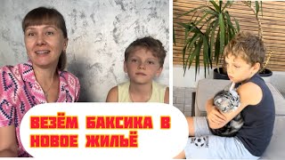 VLOG: Нам папа с утра сообщил…