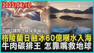 【TVBS國際+環保氣候】格陵蘭融冰 日60億噸水入海 牛肉碳排王 怎靠嘴救地球｜TVBS新聞 2022.08.10