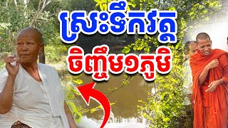 ស្រះទឹកនេះជួយអ្នកភូមិបានច្រើនណាស់ [រៀនដេលី-Rean Daily]