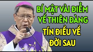 BÍ MẬT VỀ THIÊN ĐÀNG ,TÍN ĐIỀU VỀ ĐỜI SAU NHƯ THẾ NÀO . ĐỨC  CHA KHẢM GIẢNG MỚI NHẤT