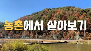 [귀촌일기] ep.3 공짜로 세달동안 시골에서 지내는 방법