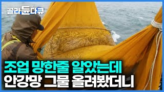 폭우 오길래 조업 망했거니 했는데 오히려 대박난 안강망 어선｜만선 까나리잡이｜극한직업｜#골라듄다큐