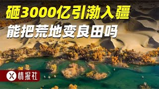 花3000亿，把渤海引到新疆，能缓解新疆的干旱，再造良田吗？