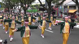 四万十町よさこい踊り子隊・四万夢多（よさこい祭り2014）全国大会・追手筋北