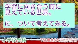 学習に向き合う世界について考えてみる。小学校受験