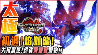 【魔物獵人崛起:破曉】焰狐龍! 爆強酒精膏! 超有料! 大招震撼天地! 一發賢者! - 莎皮塞維爾