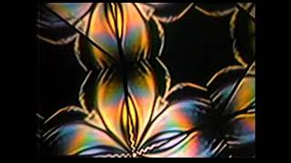 Video Feedback-2 of many