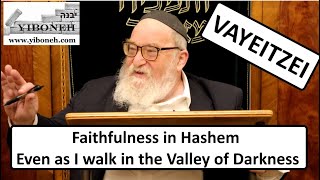 Rav Yitzchak Breitowitz: Faithfulness in Hashem Even as I walk in the Valley of Darkness