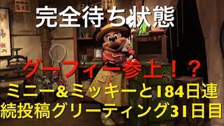 ミニー\u0026ミッキーと184日連続投稿グリーティング31日目〜完全待ち状態〜 my Disney tour day 31 I meet minnie mouse \u0026 mickey mouse