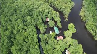 Edisto River Flooding