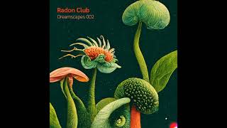 👽 Radon Dreamscapes 002 | Deep Focus Slow Techno