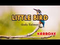 Little Bird [Karaoke] | Popularized by Andy Tielman