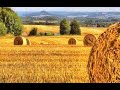 Harvest Festival Eucharist 11 10 2020