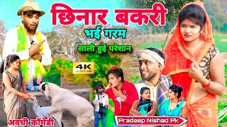 छिनार बकरी भई गरम साली हुई परेशान || अवधी कॉमेडी ||   Pradeep Nishad Pk