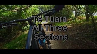 Te Tuara At Mount Victoria All Three Sections