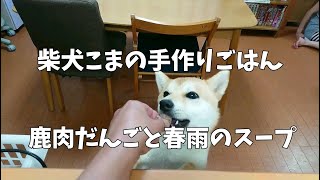 鹿肉の肉だんごと春雨のスープ｜柴犬こまの手作りごはん【柴犬こま】Shiba Inu eats deer meatballs and vermicelli soup