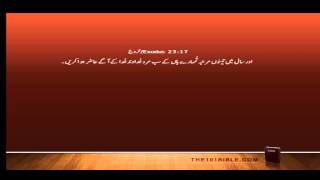 Bible Urdu 02 Exodus