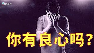 生命智慧 157 【你有良心吗？】有的人相信，并总是认为人的良心是圣灵 l 装备生命