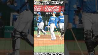 ノッカー谷内【捕手ゆあトラ】#谷内亮太 #shorts #伏見寅威 #田宮裕涼