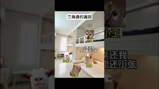 CPU给干烧了 #猫meme #搞笑 #喵不可言 #猫meme小剧场 #喵 #cat #经济 #shorts