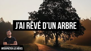 J'ai rêvé d'un arbre | Interpréter les rêves - Jérémy Pothin