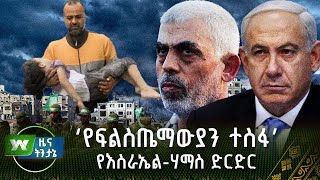 ‘የፍልስጤማውያን ተስፋ’ - የእስራኤል-ሃማስ ድርድር | ዜና ትንታኔ