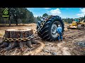 Extreme Dangerous Fastest Big Chainsaw Cutting Tree Machines | Monster Stump Removal Excavator #77