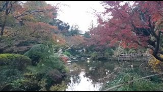 東京都 甘泉園公園 Kansenen Park, Tokyo