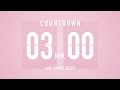 3 Minute Countdown Timer 🌸 Flip Clock with Simple Beeps 🔔