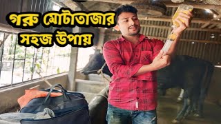 গরু মোটাতাজা করার সহজ উপায় 🐄 ষাঁড় গরু দ্রুত মোটাতাজা করার উপায় 🐄