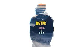 DSTRK - BRDS I VIEW (Official Audio)