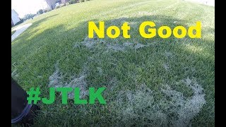 Mowing Too Low \u0026 Airflow is Key ~ Walk 'n Talk