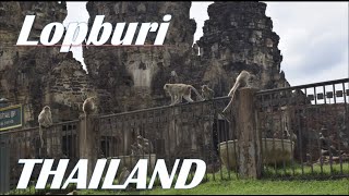 Thailand: Lopburi