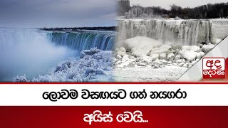 ලොවම වසඟයට ගත් නයගරා අයිස් වෙයි...