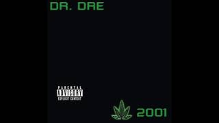Dr. Dre feat. Eminem & Xzibit- What's the Difference (Instrumental w/Hook)