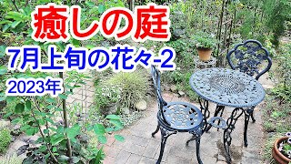 【癒しの庭 7月上旬の花々-2】豪雨明けの7月上旬の花々です。豪雨で花がずいぶん散り、背の高い花は曲がってしまいました。現在のお庭をご覧ください。2023年7月3日