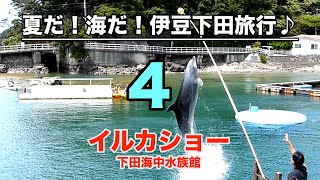 イルカショー（下田海中水族館）【夏だ！海だ！伊豆下田旅行4】