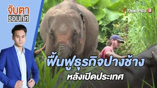 ฟื้นฟูธุรกิจปางช้างหลังเปิดประเทศ | จับตารอบทิศ | 20 ก.ย. 65