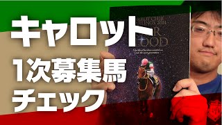 【一口馬主】 キャロット2014年募集馬　1次募集直前検討！！