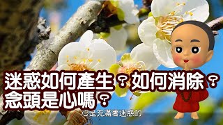 迷惑如何產生？如何消除？念頭是心嗎？－洛本天津仁波切【學佛釋疑】＃43－山中傳奇2023.05.27