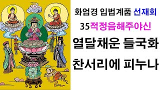 35. 적정음해주야신 3교시 용학스님tv木魚 화엄경 입법계품