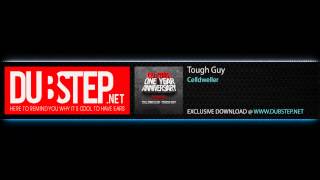 Tough Guy by Celldweller - Dubstep.NET Exclusive