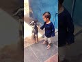 #PrincessMaira playing with baby goat🐐 #pets #shorts #ytshots #trending #viralvideo #enjoy #funny