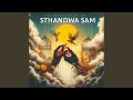 Sthandwa Sam (feat. steel jay)