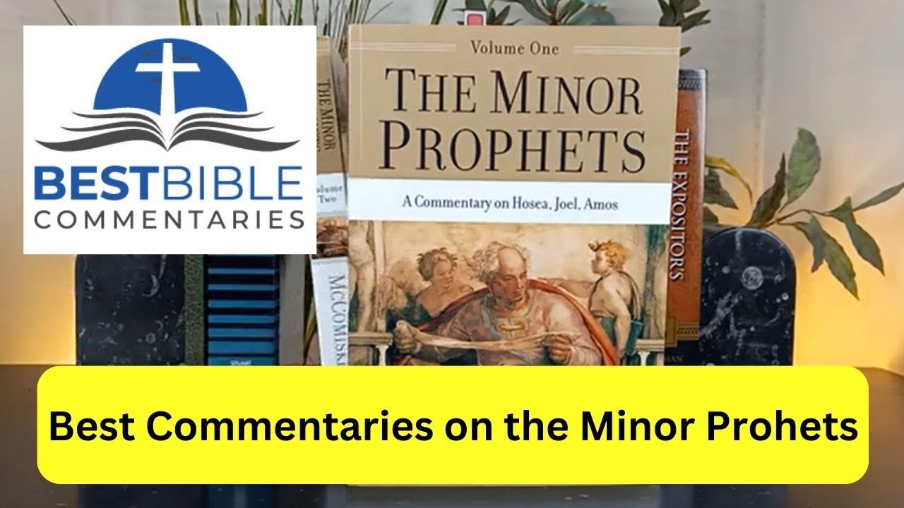 Best Bible Commentaries On The 12 Minor Prophets Of The Old Testament ...