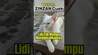 misteri Zinzan Cuek, Lidi tak mampu menggoyahkannya. #zinzan